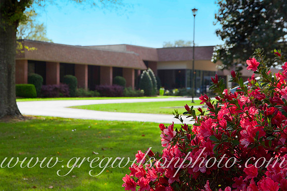 Azelia Trace, Pensacola,​ Florida