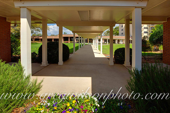 Azelia Trace, Pensacola,​ Florida