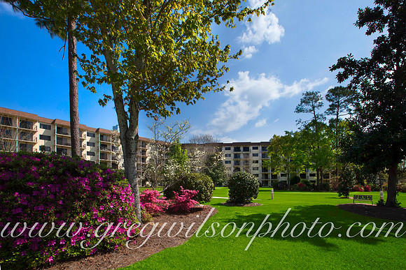Azelia Trace, Pensacola,​ Florida