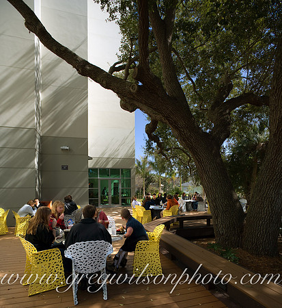 Ringling College of Art & Design,  Sarasota, Florida