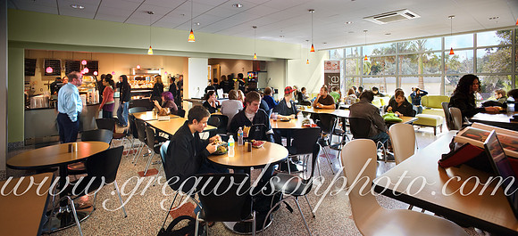 Ringling College of Art & Design,  Sarasota, Florida