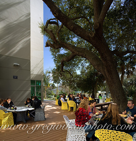 Ringling College of Art & Design,  Sarasota, Florida