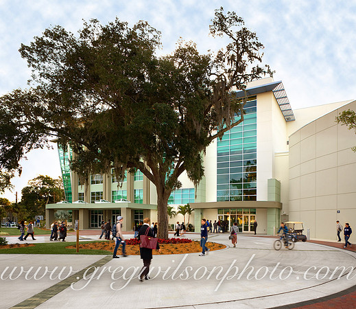 Ringling College of Art & Design,  Sarasota, Florida