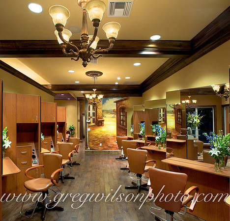 Diane K Salon, Sarasota, Florida