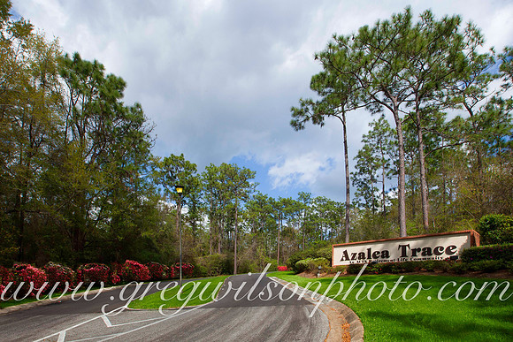Azelia Trace, Pensacola,​ Florida