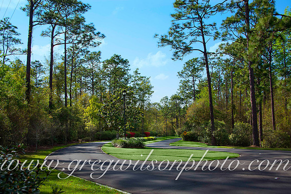 Azelia Trace, Pensacola,​ Florida