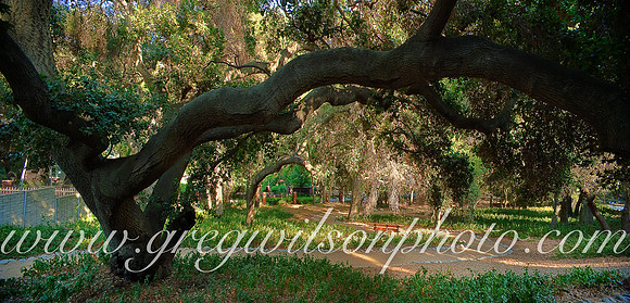 Royal Oaks,  Glendale, California
