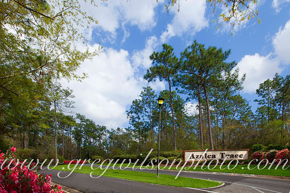 Azelia Trace, Pensacola,​ Florida