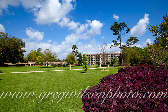 Azelia Trace, Pensacola,​ Florida