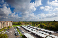 Azelia Trace, Pensacola,​ Florida