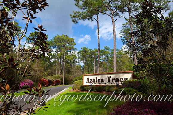 Azelia Trace, Pensacola,​ Florida
