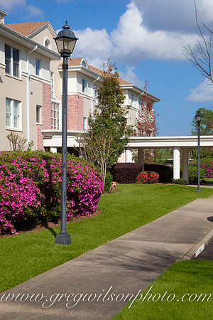 Azelia Trace, Pensacola,​ Florida