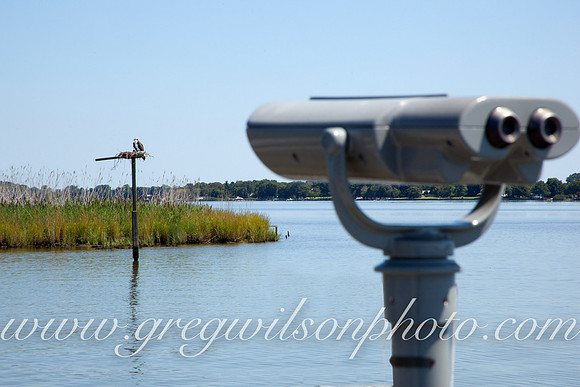 Heron Point of Chestertown,​ Chestertown,​ Maryland