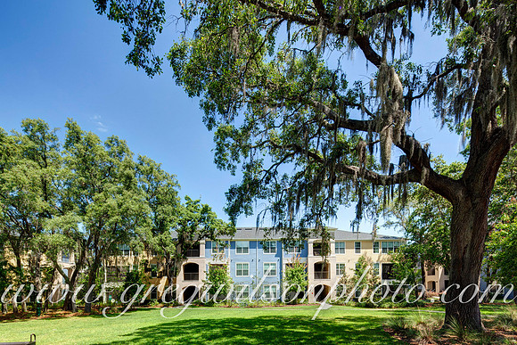 Seneca at Cypress Creek,  Lutz, Florida