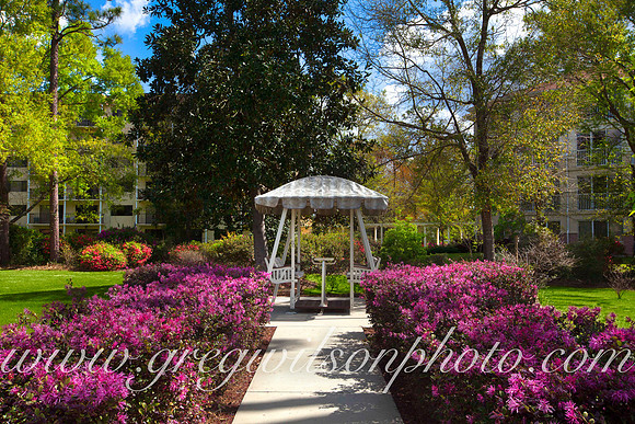 Azelia Trace, Pensacola,​ Florida