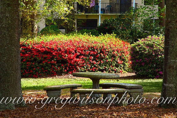 Azelia Trace, Pensacola,​ Florida