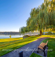 Mercer Island, WA-2