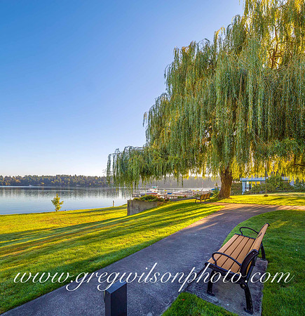 Mercer Island, WA-2