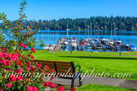 Mercer Island, WA-4