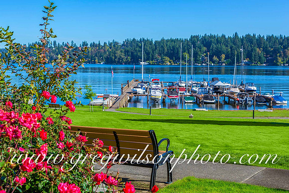 Mercer Island, WA-4