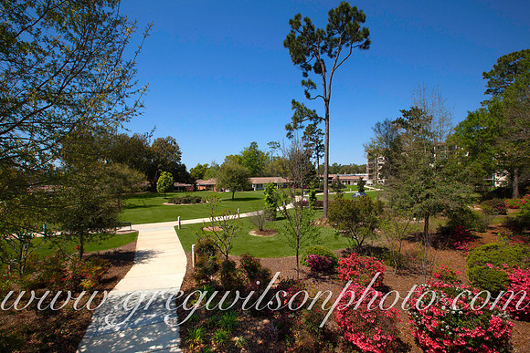 Azelia Trace, Pensacola,​ Florida