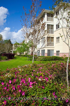 Azelia Trace, Pensacola,​ Florida