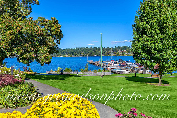 Mercer Island, WA-21